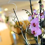 Hotel Raffaello Bellaria-Igea Marina