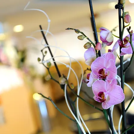 Hotel Raffaello Bellaria-Igea Marina