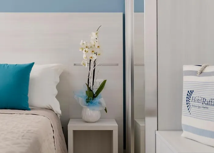 Hotel Raffaello Bellaria-Igea Marina