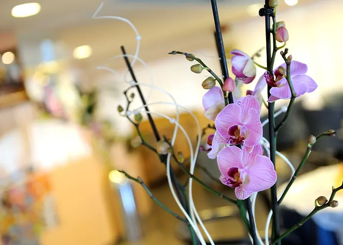 Hotel Raffaello Bellaria-Igea Marina